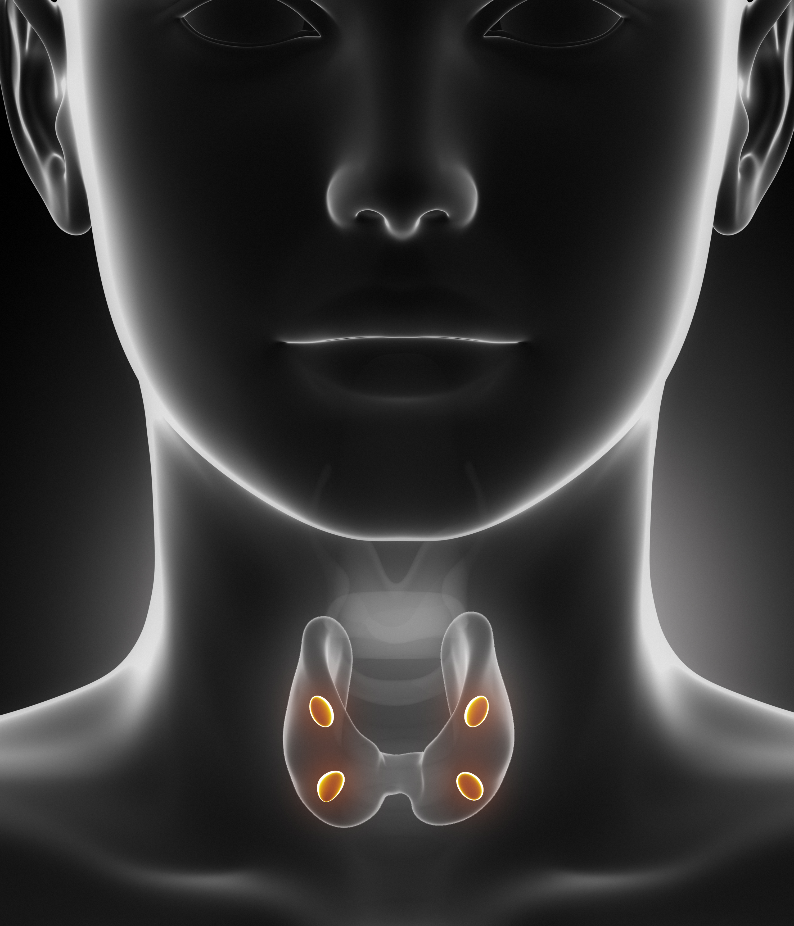 Image result for Fibromyalgia Patients Should be Monitored for Hyperparathyroidism, Study Suggests