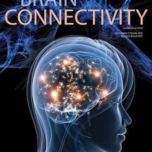 brainconnectivity