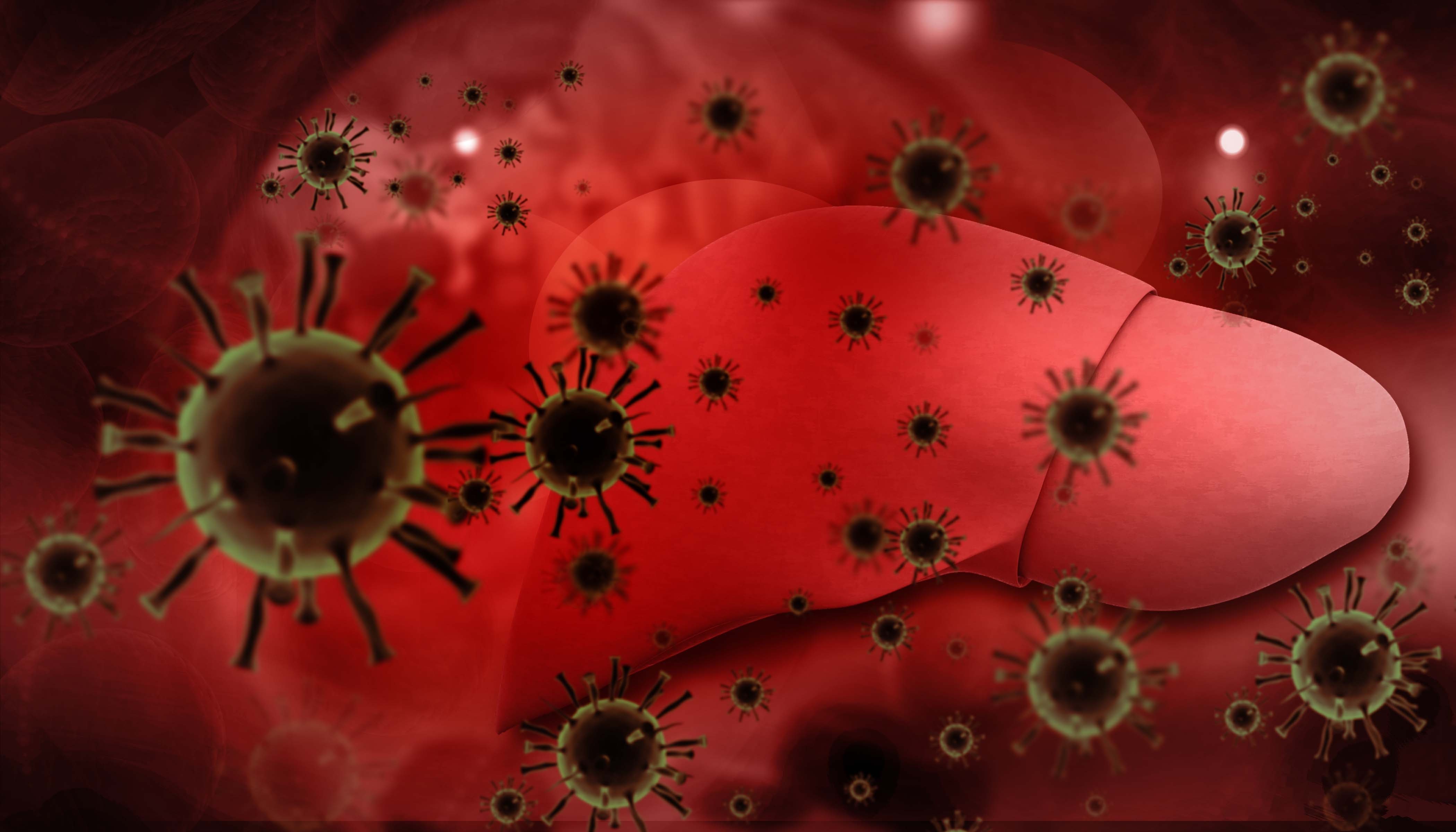 Patients with Hepatitis B Virus Infection Have Higher Fibromyalgia Incidence
