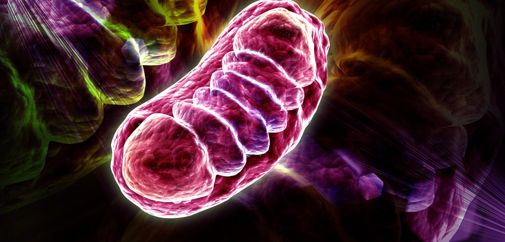Melatonin Supplements May Help Treat Fibromyalgia by Aiding Mitochondria, Animal Study Finds