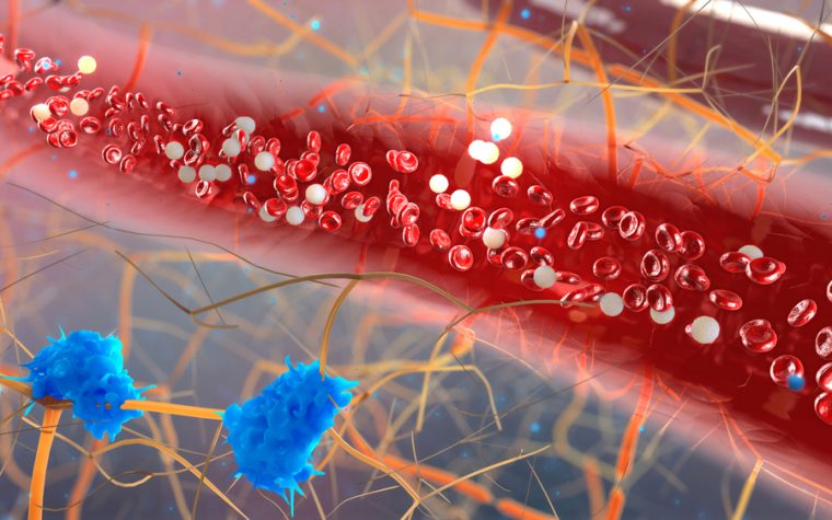 fibromyalgia and microglial TNF-α