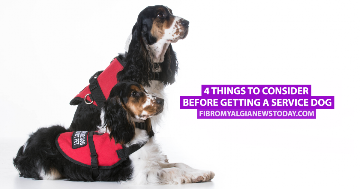 4 Things to Consider Before Getting a Service Dog - Fibromyalgia ...