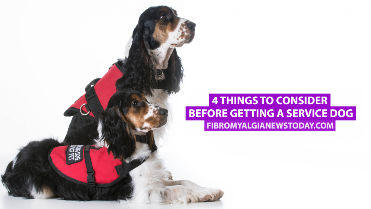 best dog breeds for fibromyalgia